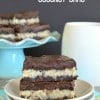 Chocolate Coconut Bars title