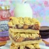 Peanut Butter & Jelly Crumb Bars title