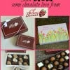 Shari's Berries collage 3