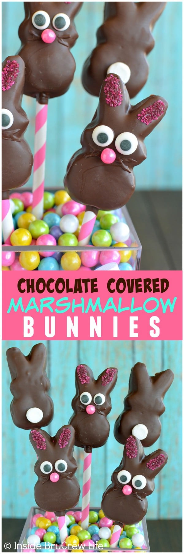 Chocolate Covered Marshmallow Bunnies