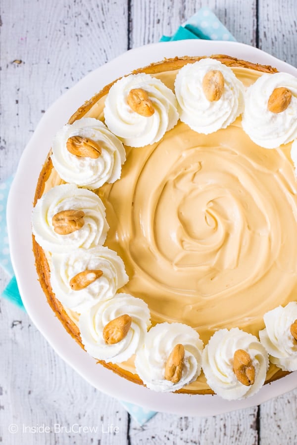 Caramel Cashew Cheesecake - a cashew crust, caramel cheesecake, and caramel cream makes a delicious dessert. Easy recipe to try for parties or events! #cheesecake #caramel #homemadewhippedcream #recipe #cashews