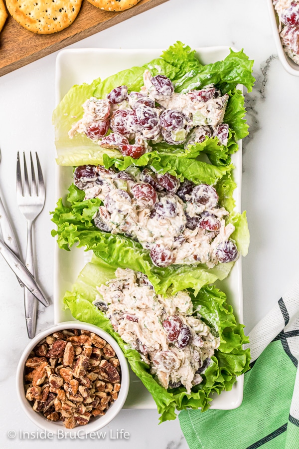 Overhead picture of a white plate with lettuce wraps filled with grape pecan chicken salad.