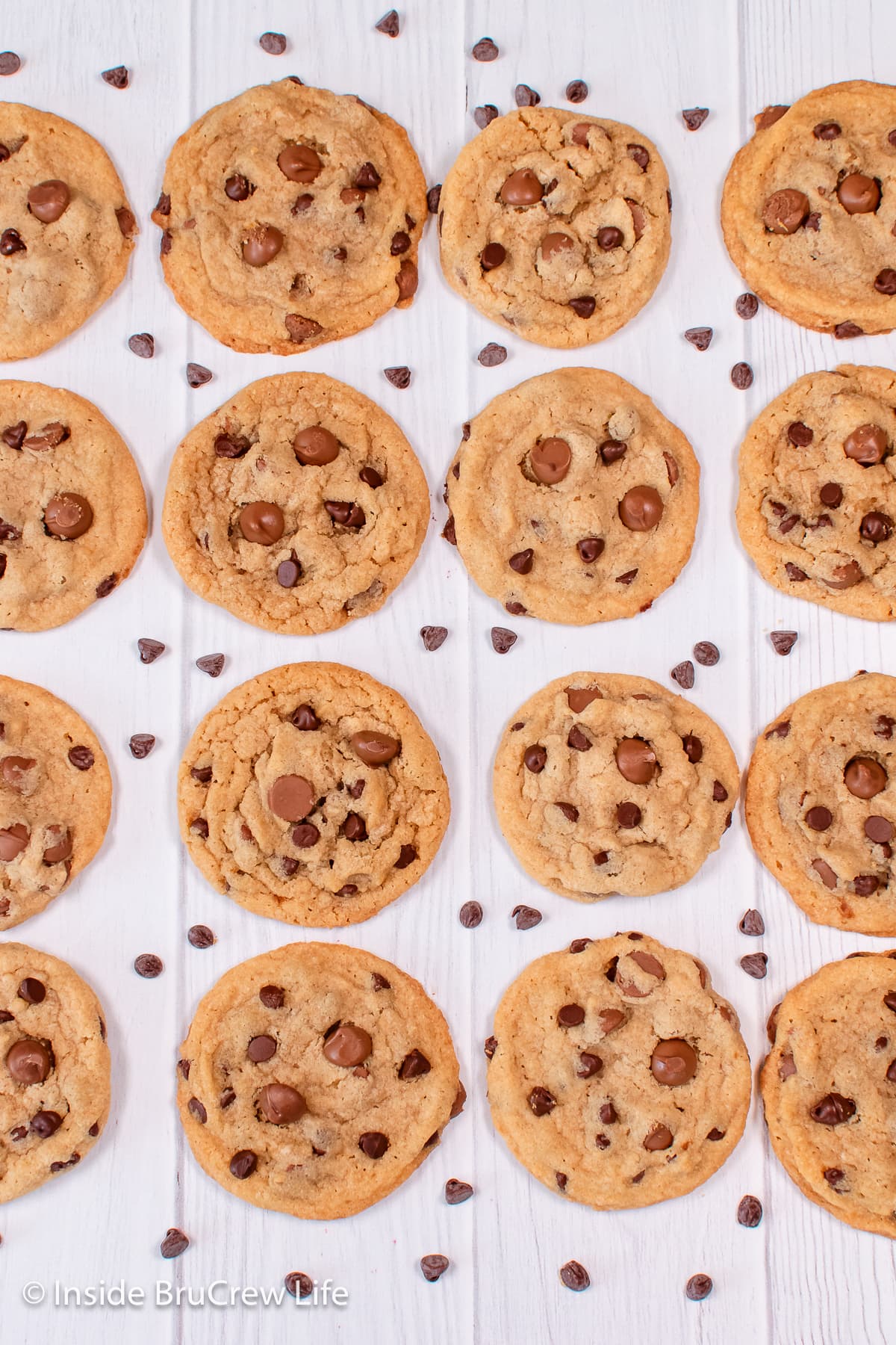 Rows of chocolate chip cookies on a white board.