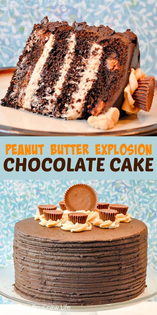 Peanut Butter Explosion Chocolate Cake - the layers of peanut butter frosting and candies make this chocolate cake mix a decadent dessert. Make this easy recipe for parties and events! #chocolatecake #chocolate #peanutbutter #cake