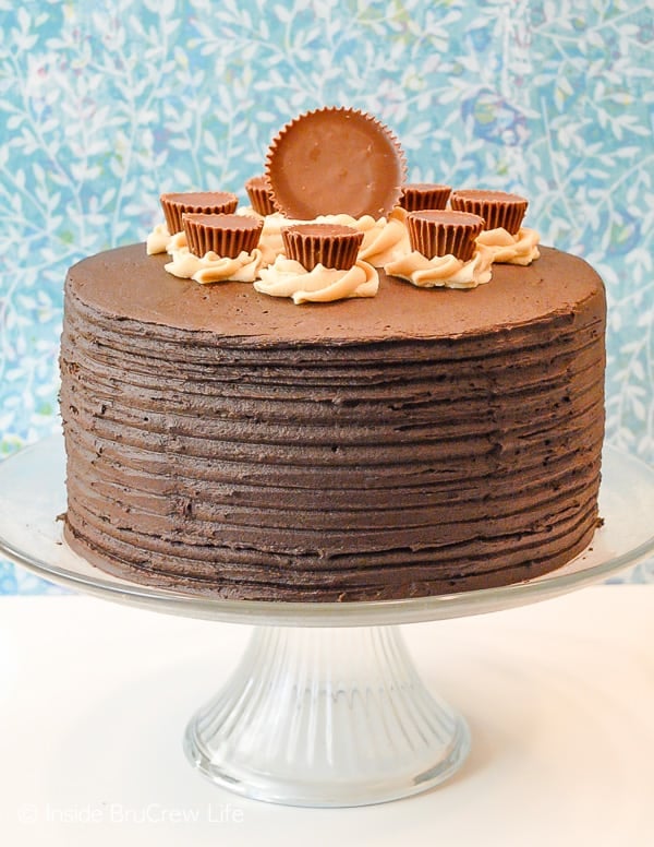 Peanut Butter Explosion Chocolate Cake - chocolate and peanut butter layers with Reese's peanut butter cups makes a delicious semi homemade dessert. Make this easy cake recipe for parties and events or bake sales. #chocolatecake #chocolate #peanutbutter #cake