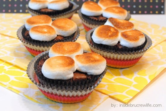 Brownie cupcakes topped with toasted marshmallows.