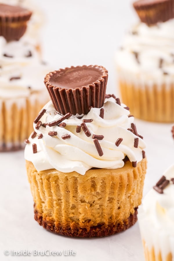 A white board with a close up shot of a peanut butter cheesecake with a peanut butter cup crust and topper.