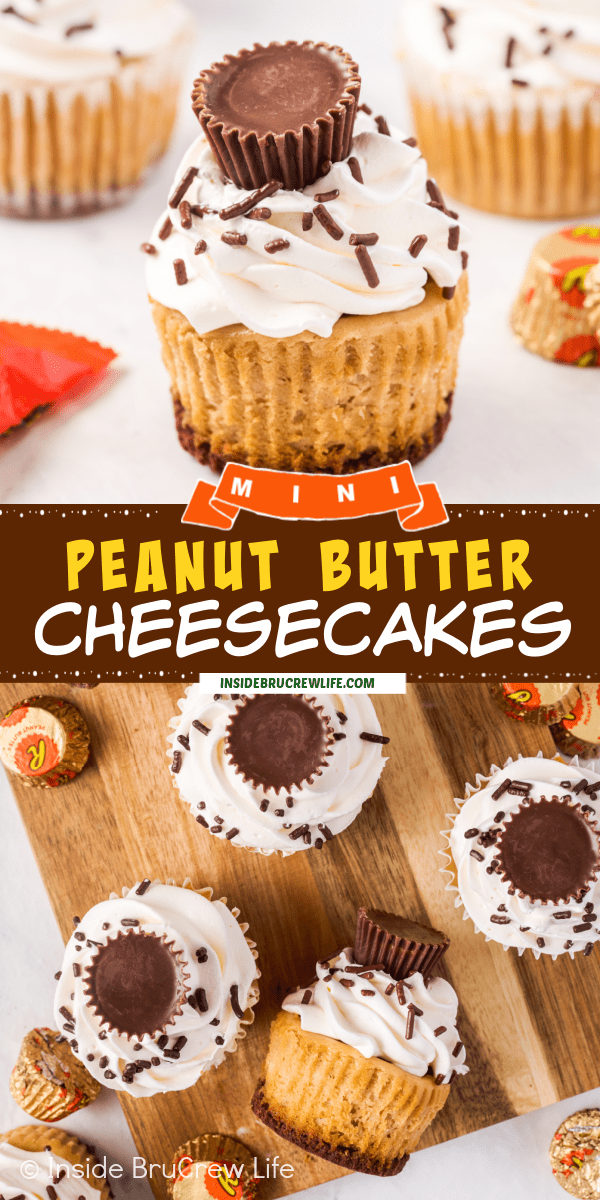 Two pictures of mini peanut butter cheesecakes collaged together with a brown text box.