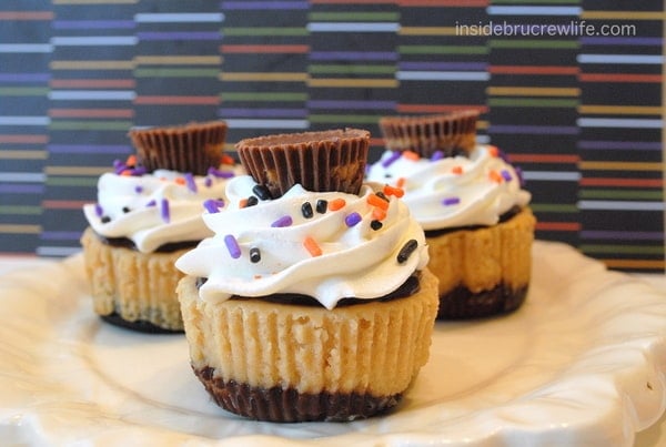 Three mini peanut butter cup cheesecakes with whipped cream and peanut butter cups sitting on a white plate.