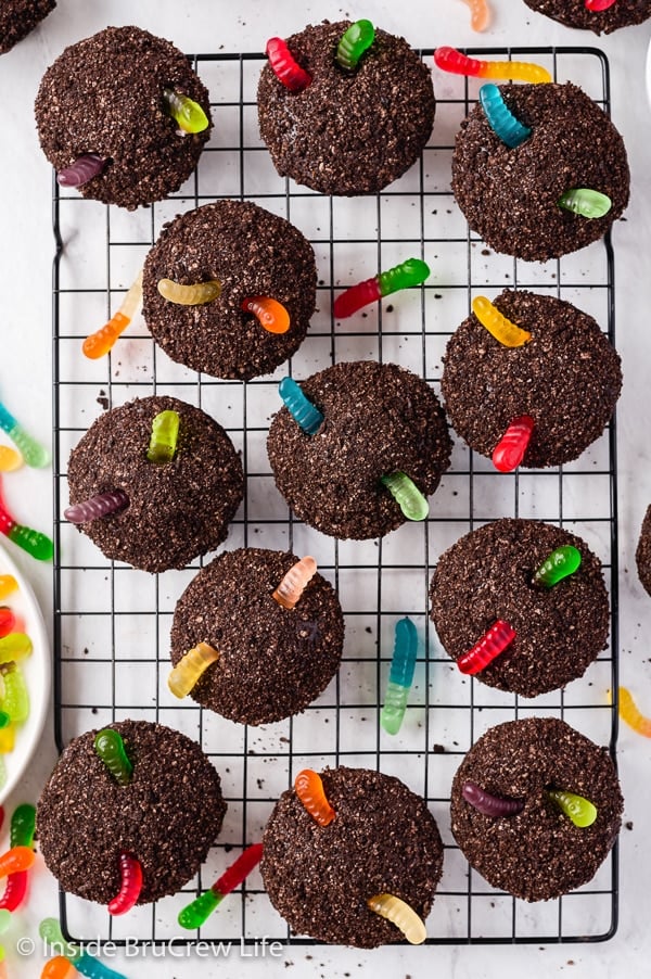 Overhead picture of a black wire cooling rack with a bunch of Oreo dirt cupcakes topped with gummy worms on it.