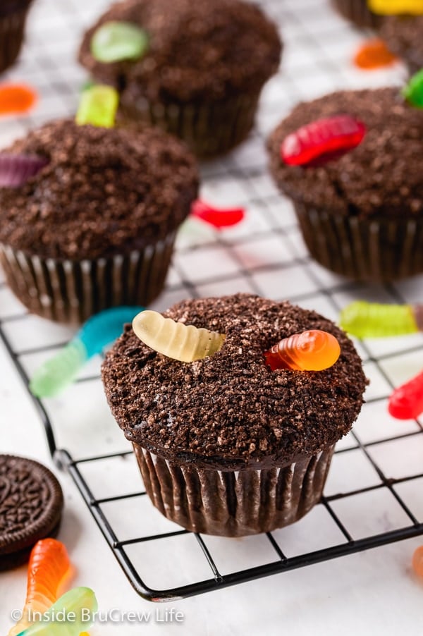 A black wire cooling rack with chocolate cupcakes topped with Oreo crumbs and gummy worms on it.