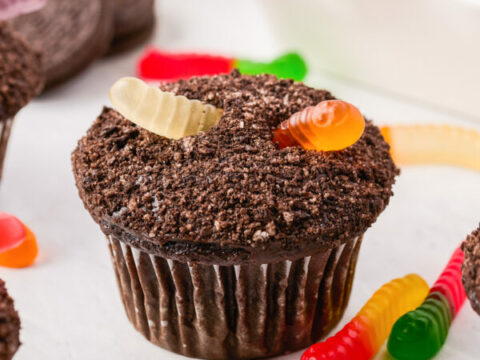 https://insidebrucrewlife.com/wp-content/uploads/2011/10/Pudding-Filled-Dirt-Cupcakes-41-1-e1633715229145-480x360.jpg