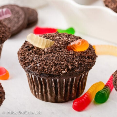 A chocolate cupcake topped with Oreo crumbs and a gummy worm.