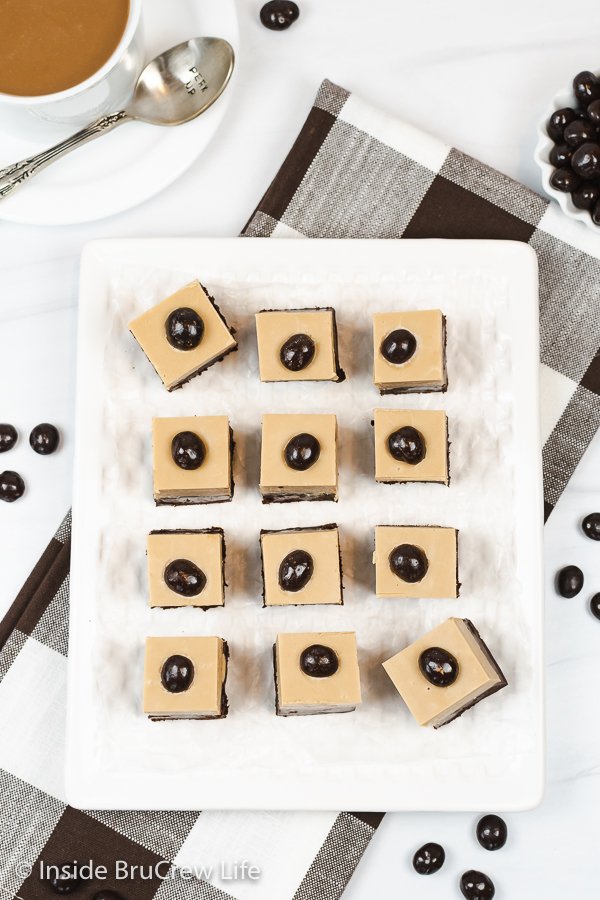 A white plate filled with squares of fudge.