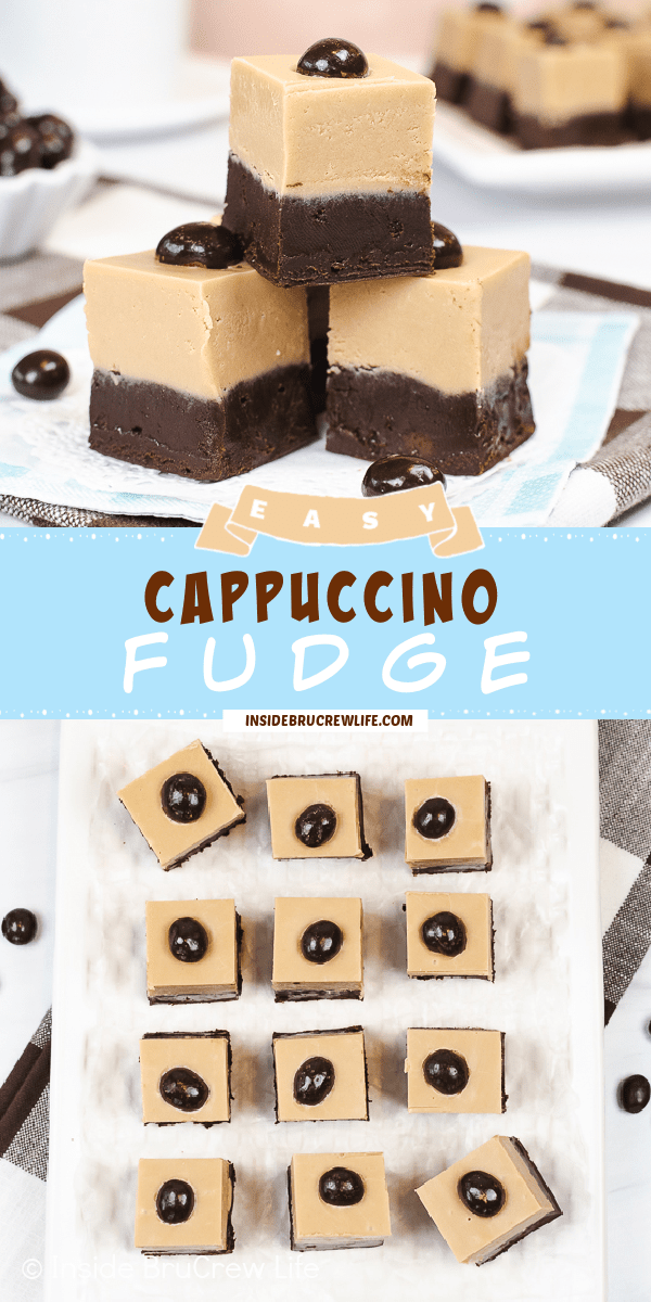 Two pictures of Cappuccino Fudge collaged together with a light blue text box.