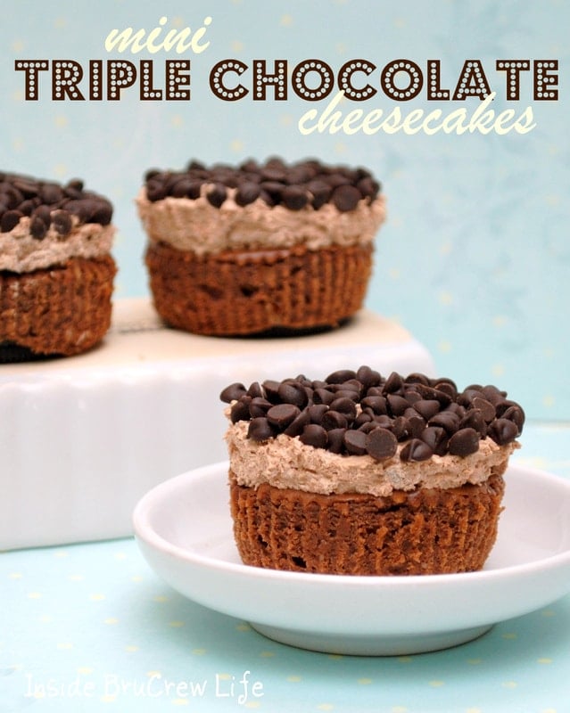 Mini Triple Chocolate Cheesecakes - Inside BruCrew Life