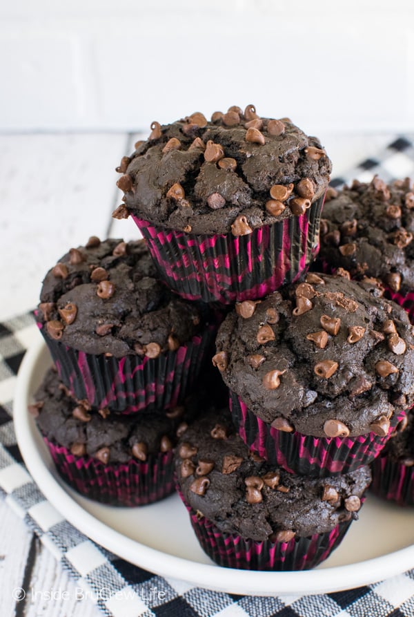 Chocolate Mocha Muffins - two times the chocolate in these breakfast muffins makes them so good. Try this easy recipe for breakfast.