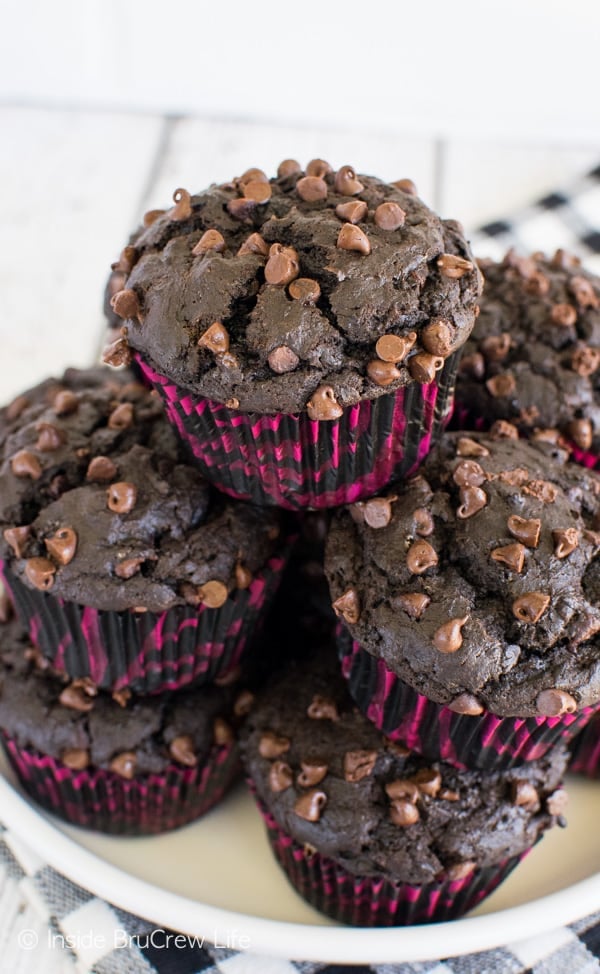 Chocolate Mocha Muffins - plenty of chocolate chips will have you grabbing a few of these muffins in the morning. Great breakfast recipe to try.