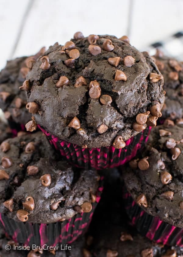 Chocolate Mocha Muffins - two times the chocolate makes these muffins a great way to start out the day. Try this awesome recipe for breakfast.