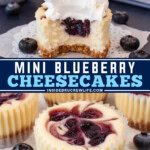 Two pictures of mini blueberry cheesecakes collaged with a blue text box.