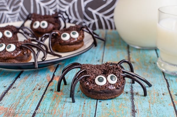 A chocolate spider donut on a teal board with a plate of spider donuts behind it
