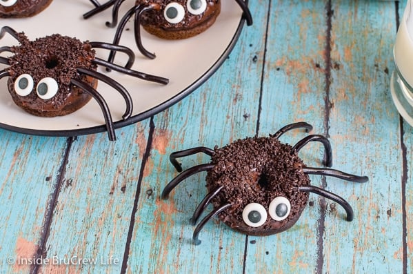 A chocolate spider donut on a teal board with a plate of spider donuts behind it