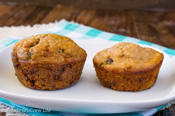 Chocolate Chip Oatmeal Muffins test