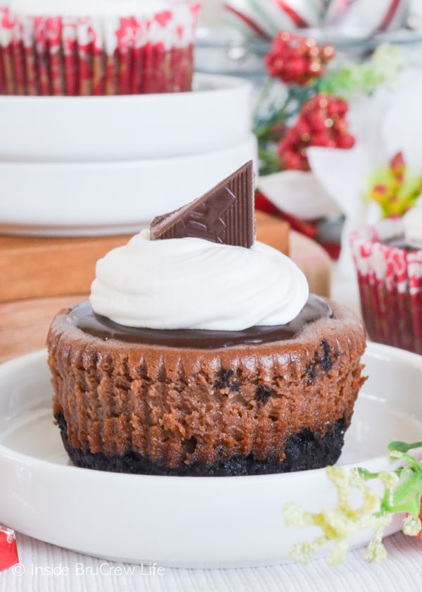 A front shot of a Cherry Chocolate Cheesecake on a white plate.