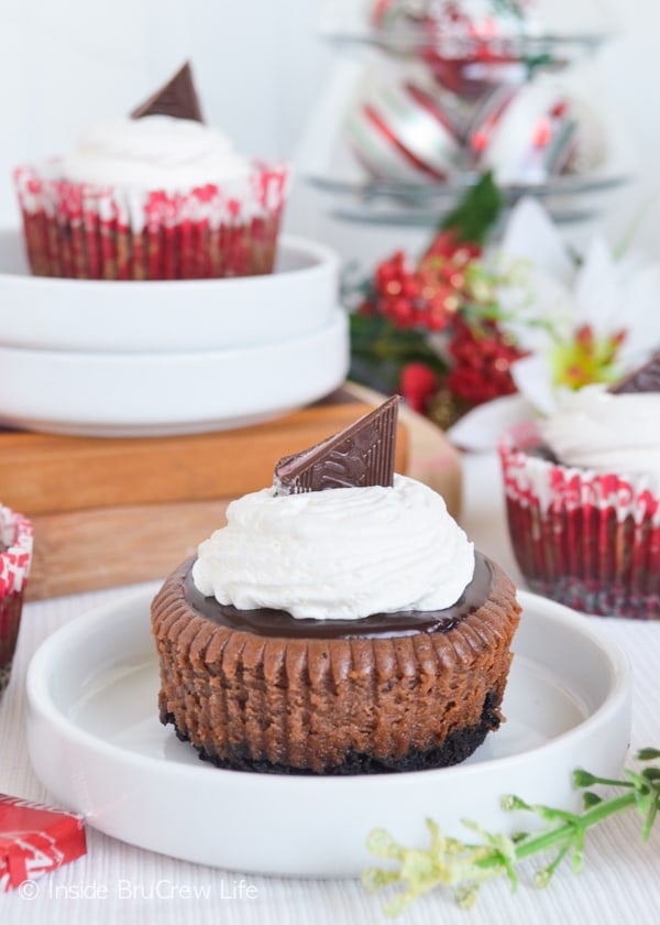 A front picture of Cherry Jubilee Chocolate Cheesecakes on a white plate topped with an Andes peppermint.