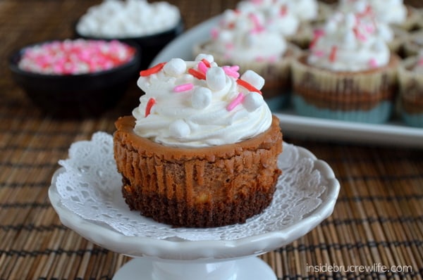 Hot Chocolate Cheesecakes 