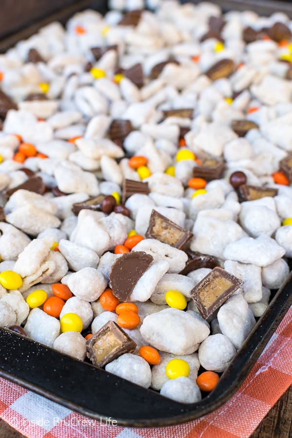 Peanut Butter Cup Puppy Chow - this easy snack mix is loaded with peanut butter goodness. Easy recipe full of peanut butter cup candies. Perfect for parties! #snackmix #peanutbutter #muddybuddies #puppychow #nobake #peanutbuttercups