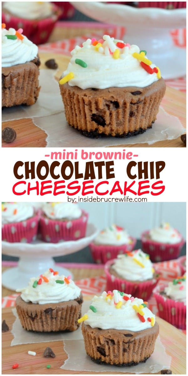 These mini cheesecakes have a fun brownie and chocolate chip twist.  Perfect for munching on any time of day!