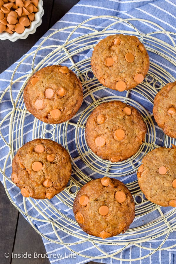 Butterscotch Banana Muffins - the butterscotch chips give these easy banana muffins a sweet flair. Make this recipe with the ripe bananas on your counter! #banana #muffins #butterscotch #breakfast #afterschooolsnack