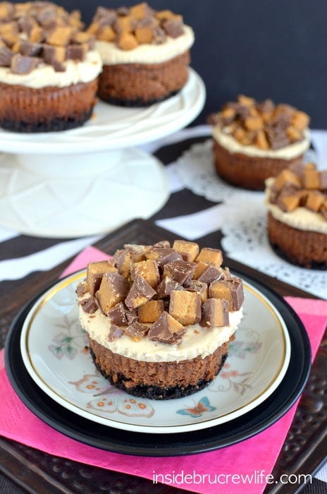 These chocolate cheesecake have a peanut butter mousse and Reese's peanut butter cups on top.  They are delicious!