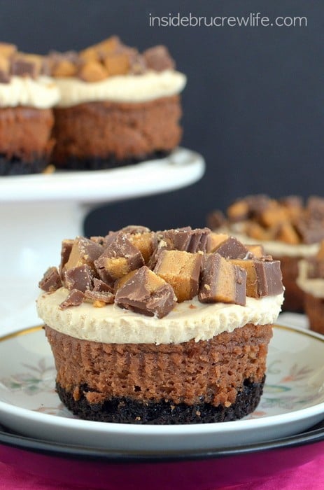 These chocolate cheesecake have a peanut butter mousse and Reese's peanut butter cups on top.  They are delicious!