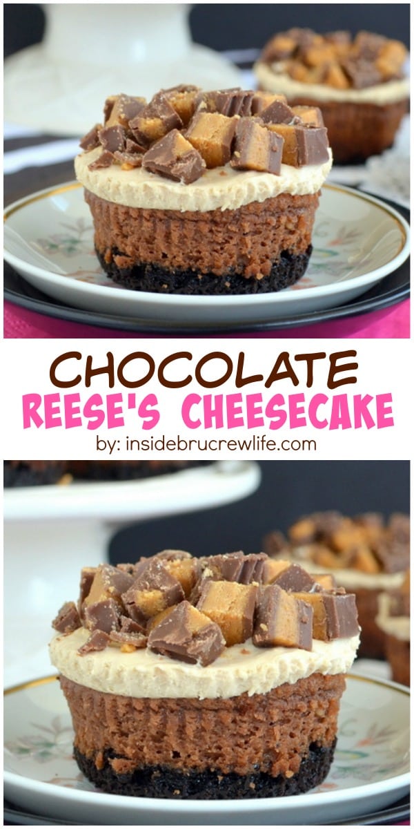 These chocolate cheesecake have a peanut butter mousse and Reese's peanut butter cups on top.  They are delicious!