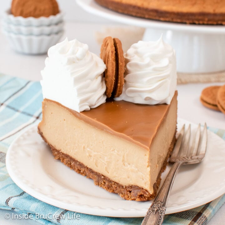 A white plate with a slice of cookie butter cheesecake on it.
