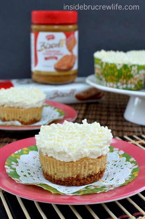 Biscoff cookie crust with a Biscoff cheesecake that is topped with white chocolate mousse makes an absolutely amazing mini dessert. These are a family favorite!