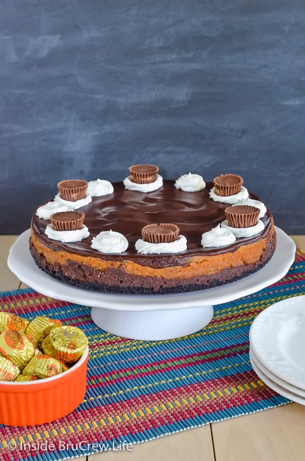 Peanut Butter Cup Cheesecake - chocolate peanut butter cheesecake with an Oreo cookie crust! Make this recipe for dinner parties! #cheesecake #peanutbutter #chocolate #peanutbuttercups