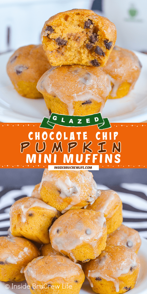 Two pictures of pumpkin mini muffins with chocolate chips collaged together with an orange text box.