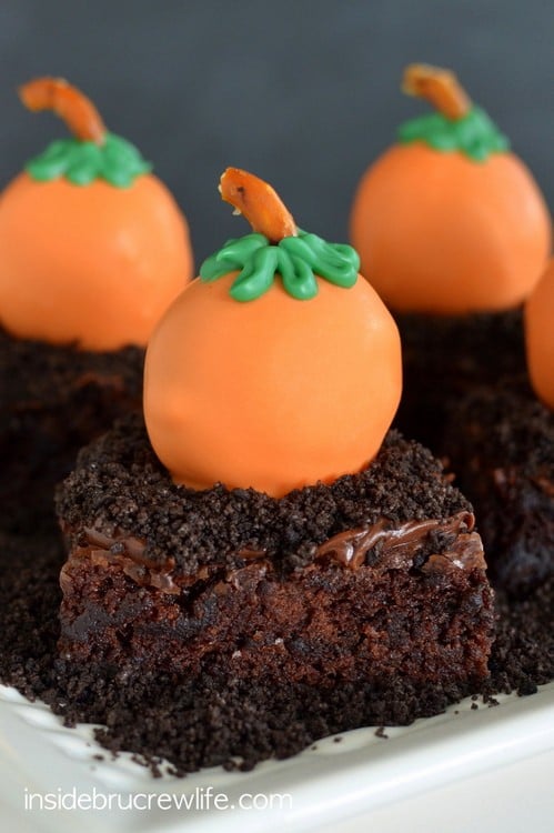 Dipping peanut butter balls in orange chocolate and adding a stem and leaves makes these the cutest fall pumpkins.