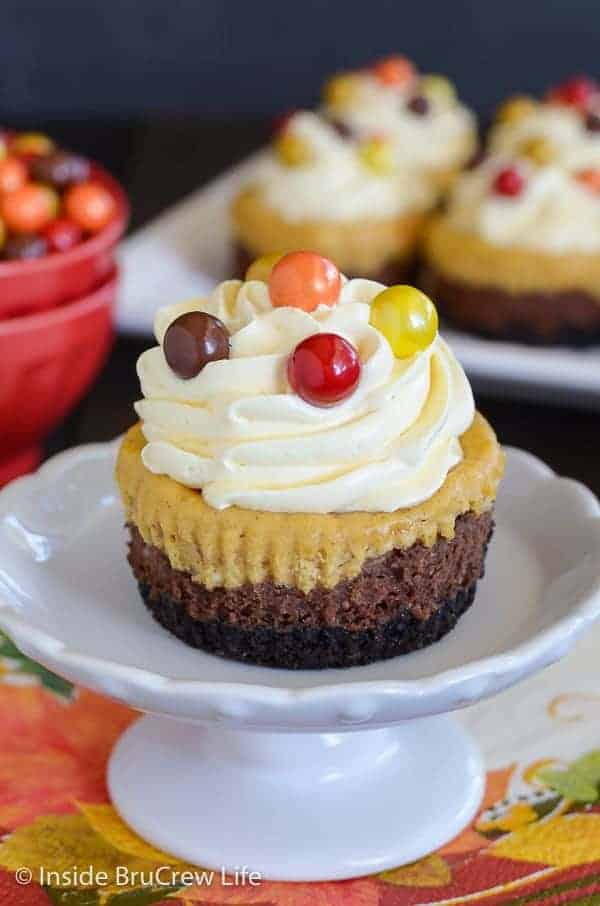 Chocolate Pumpkin Cheesecakes - mini cheesecake cupcakes layered with an Oreo cookie crust, chocolate cheesecake, and pumpkin cheesecake. Easy recipe to make for Thanksgiving! #cheesecake #chocolate #pumpkin #thanksgiving #cheesecakecupcakes