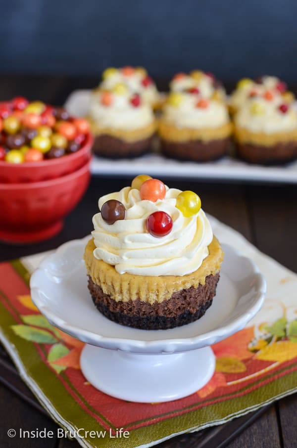 Chocolate Pumpkin Cheesecakes - an Oreo cookie crust and layers of chocolate and pumpkin cheesecake make these cheesecake cupcakes so delicious. Make this easy recipe for Thanksgiving dessert. #cheesecake #chocolate #pumpkin #thanksgiving #cheesecakecupcakes