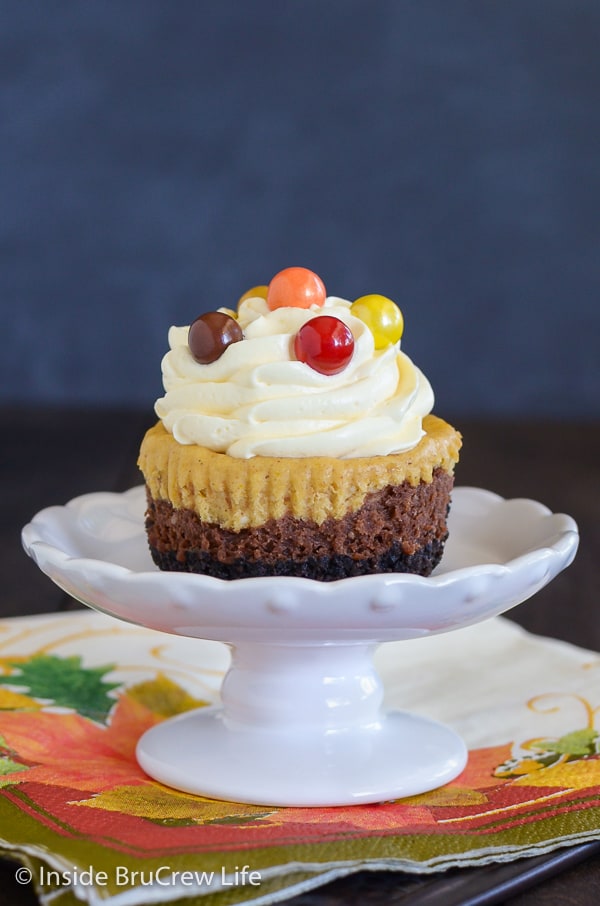 Chocolate Pumpkin Cheesecakes - layers of chocolate and pumpkin cheesecake on an Oreo cookie crust make these cheesecake cupcakes so pretty and delicious. Easy Thanksgiving Day dessert! #cheesecake #chocolate #pumpkin #thanksgiving #cheesecakecupcakes