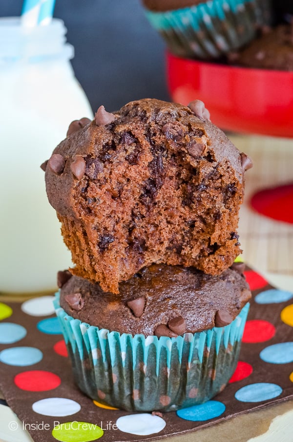 Two chocolate banana muffins stacked on top of each other with a bite out of the top one showing all the chocolate chips inside.