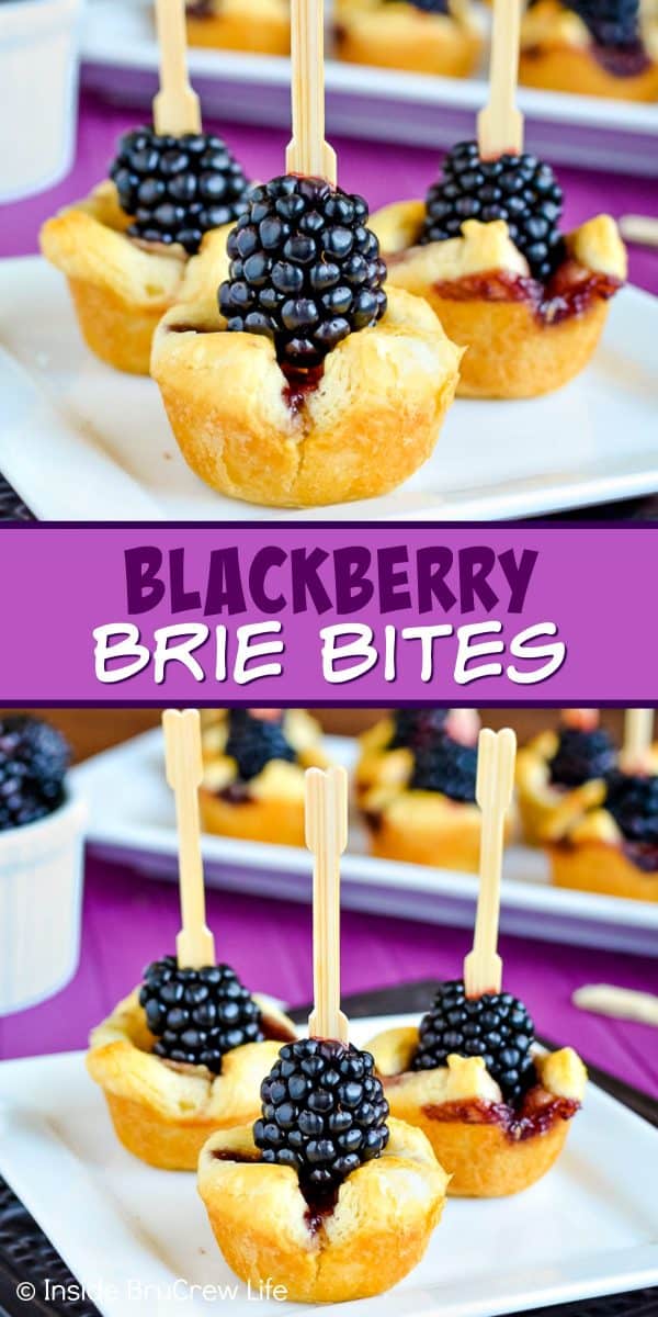 2 pictures of blackberry brie bites separated by a purple text box.