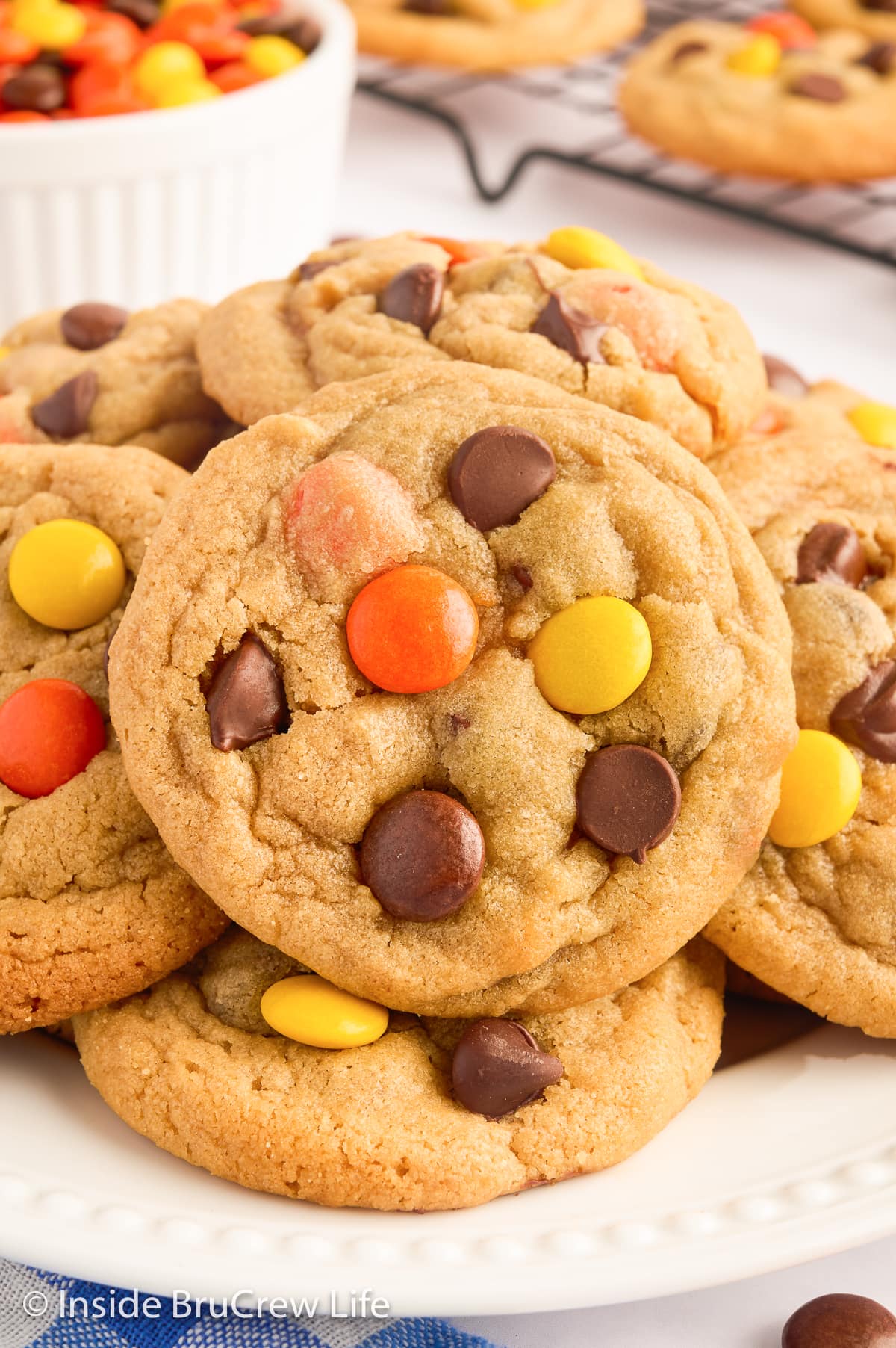 A very close up of a peanut butter cookie with Reese's Pieces.