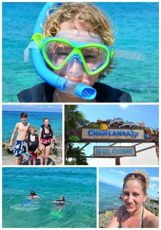 Cruise collage snorkeling