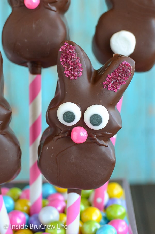 close up picture of a chocolate covered marshmallow bunny with a candy face.