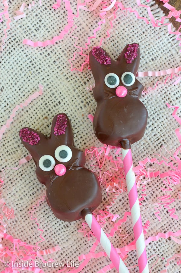 Overhead picture of two chocolate covered marshmallow bunnies on pink and white straws.